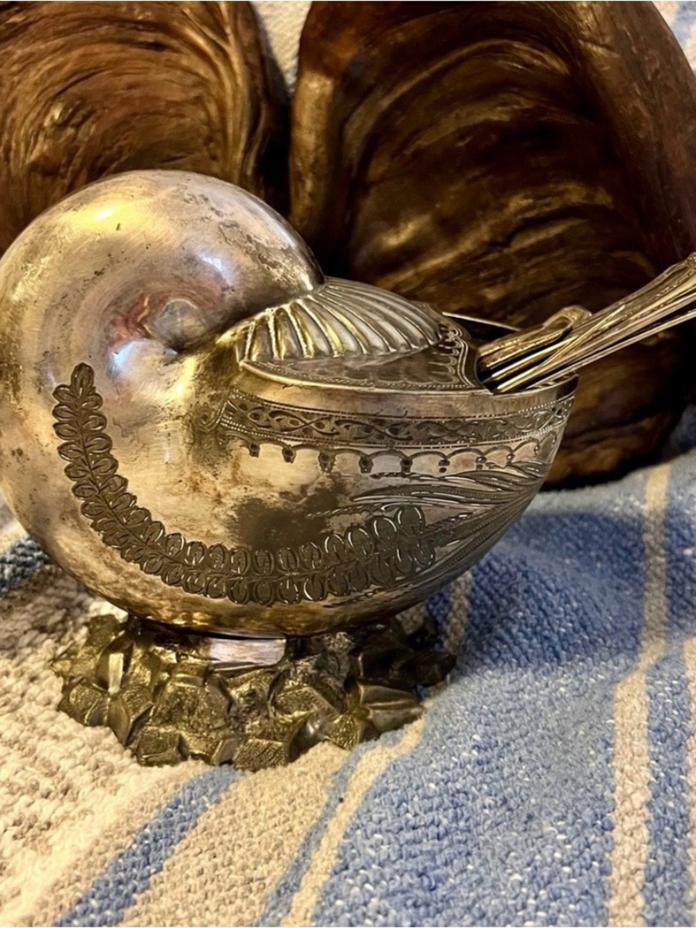 Antique Nautilus Spoon Warmer